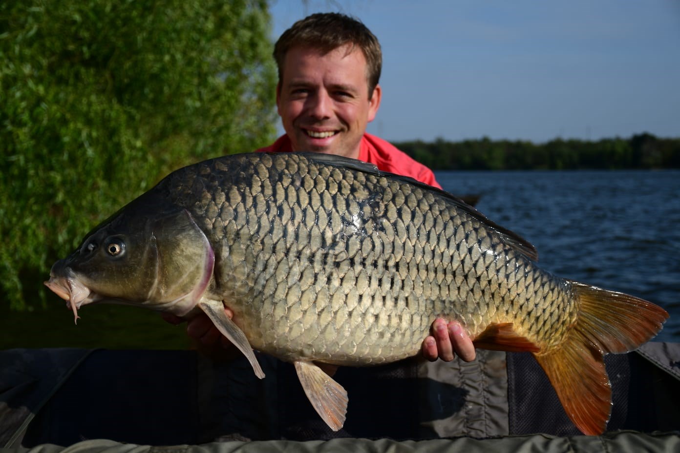 Tancabesti 17 - 20 sept. - Crap 12kg